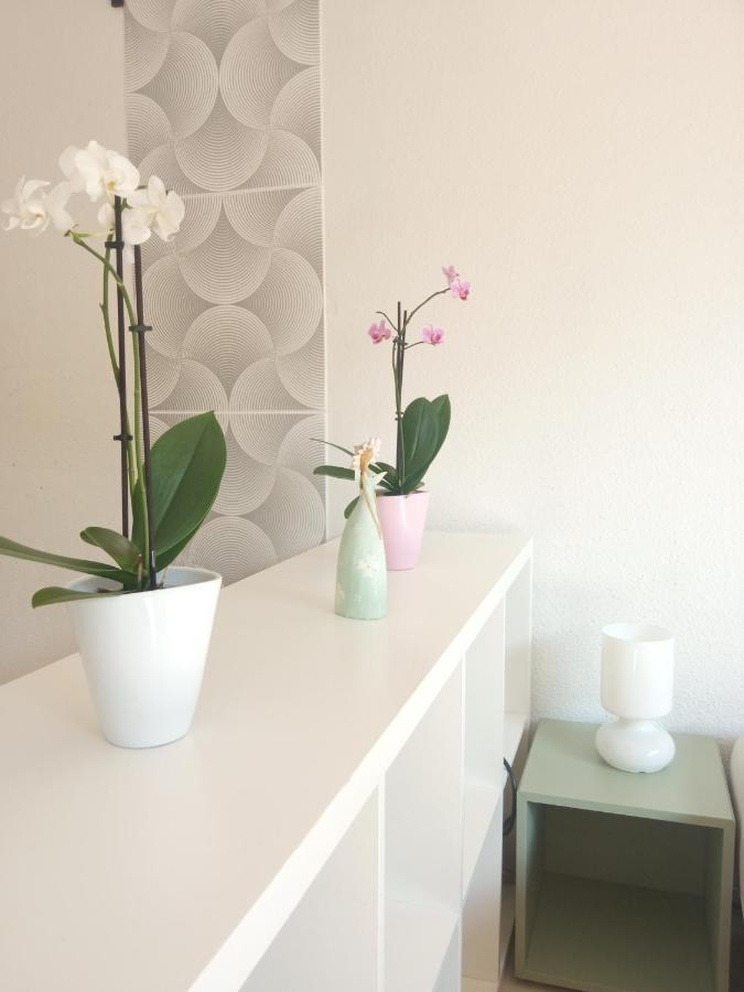 Free Parking, Balcony, Near To City Park 부다페스트 외부 사진