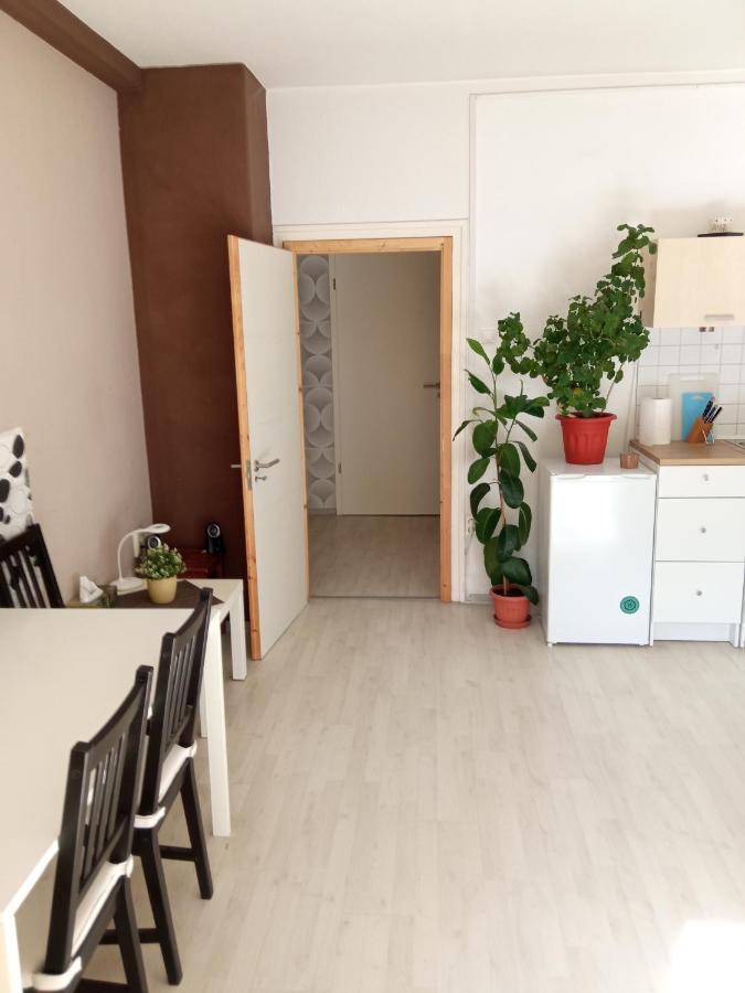 Free Parking, Balcony, Near To City Park 부다페스트 외부 사진