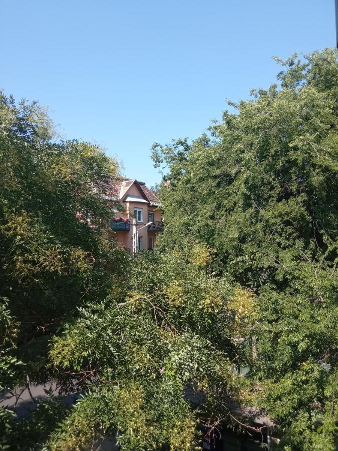 Free Parking, Balcony, Near To City Park 부다페스트 외부 사진