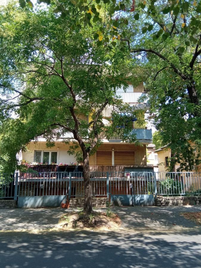 Free Parking, Balcony, Near To City Park 부다페스트 외부 사진